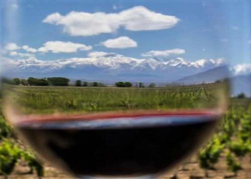 Apartamento Star Wine