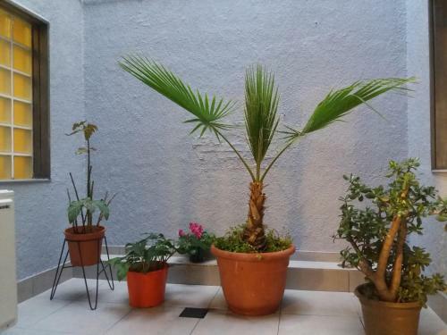 Apartamento Departamento Espa�a