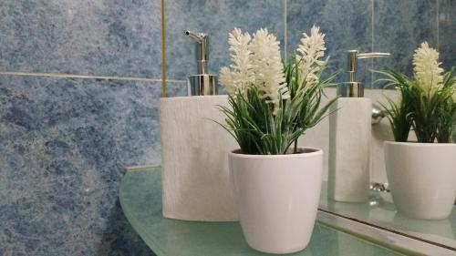 Apartamento Plaza Independencia