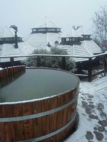 Lodge Caba�as Los Cochipo�is