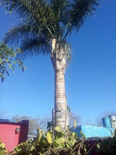 Apartamento Departamento Chacabuco II Familiar