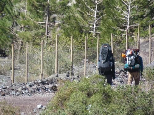 Bed & Breakfast Refugio Ecologico