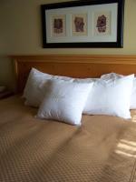 Hotel Homewood Suites By Hilton Phoenix-biltmore