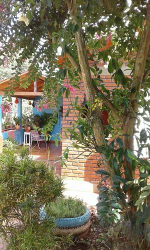 Casa De Las Horquideas 2