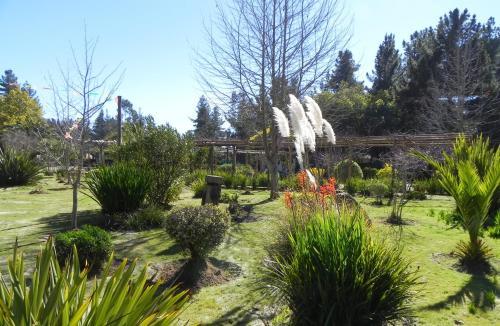 Lodge Caba�as Casa T�tem