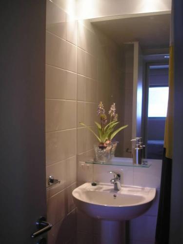 Apartamento Crucero 1003 San Alfonso