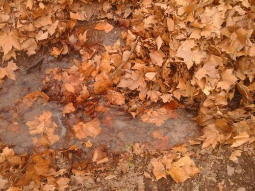 Apartamento Paloma Suite