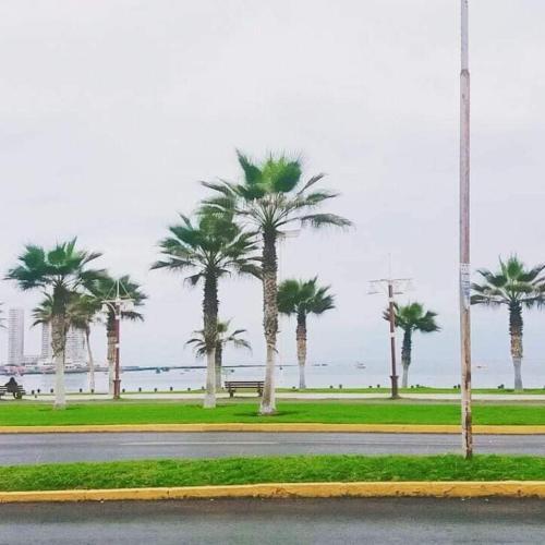 Bed & Breakfast Club Cavancha