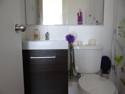 Apartamento El Brillador N� 1717