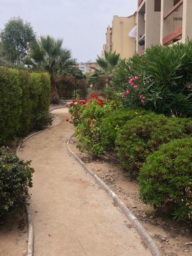 Apartamento Condominio Florencia