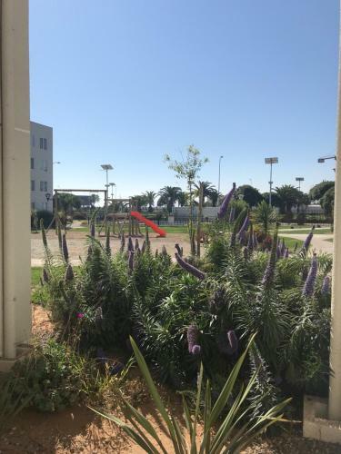 Apartamento Depto En La Serena