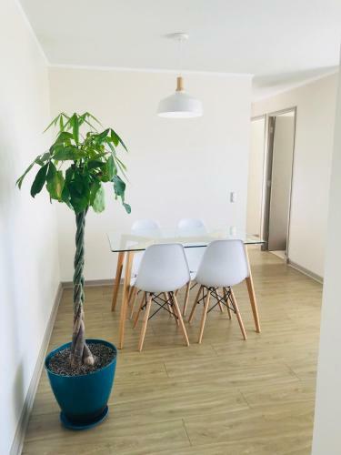 Apartamento Depto En La Serena