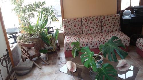 Lodge Caba�as Los Copaos
