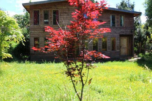 Lodge Caba�as Kalfucura