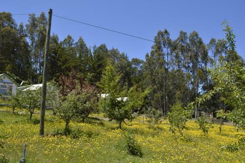 Agroturismo Hecmar 2