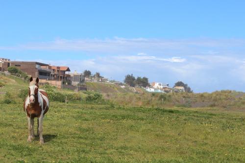 Bed & Breakfast La Mai