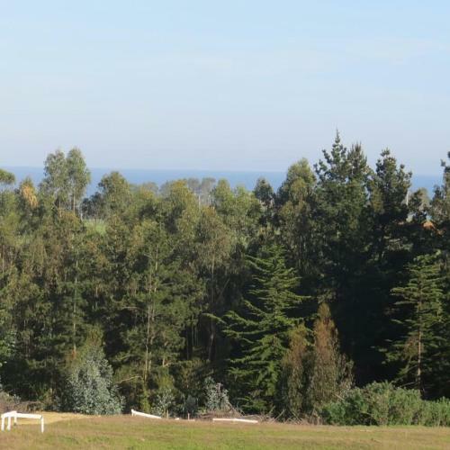 Casas Kayu, Punta De Lobos, Pichilemu