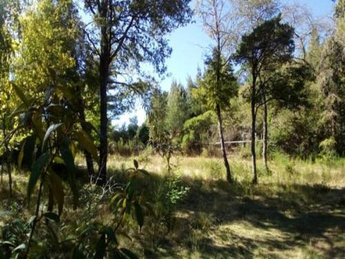 Casas Del Campo Los Arces
