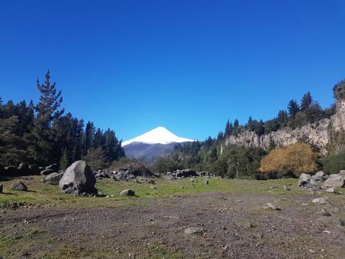 Casas Del Campo Los Arces