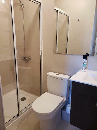 Apartamento Puc�n Departamento