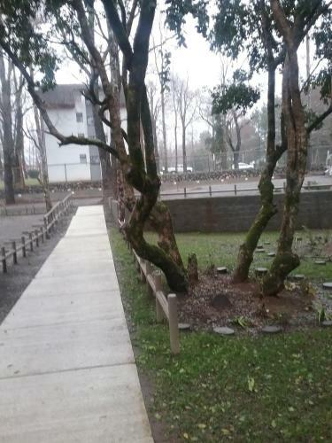 Apartamento Nuevo Parque Suizo II