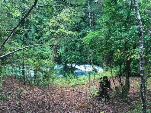 Kark� Lodge