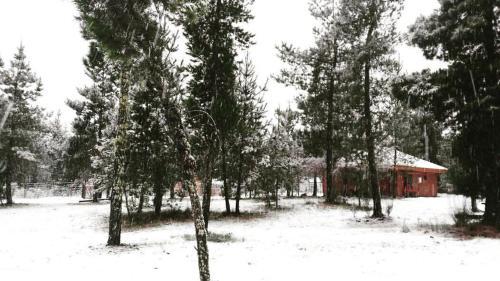 Lodge Caba�as Del Rio Turbio