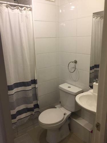 Apartamento Puc�n Parque Del Volc�n
