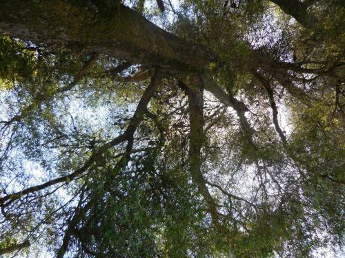 Lodge La Huella Holiday Home