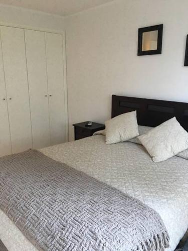 Apartamento Depto. Pucon Camino Al Volc�n