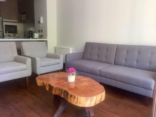 Apartamento Hermoso Depto En Pucon R4 204