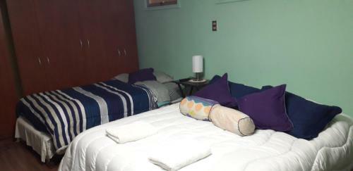 Hostal Apart Hotel Esesur
