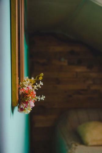 Albergue Casa Lili Backpackers