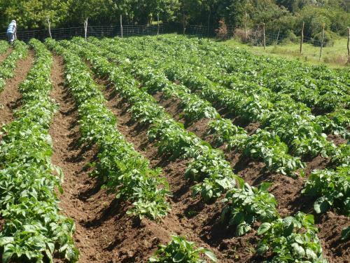 Agroturismo Hospedaje La Loica