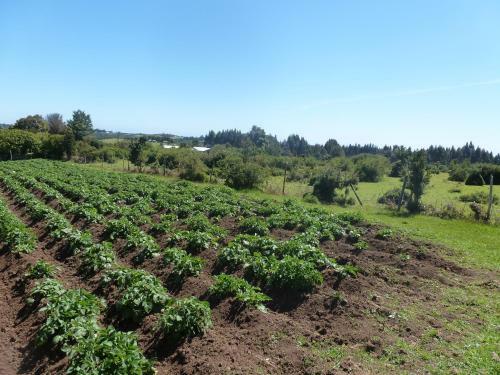 Agroturismo Hospedaje La Loica