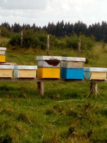 Agroturismo Hospedaje La Loica