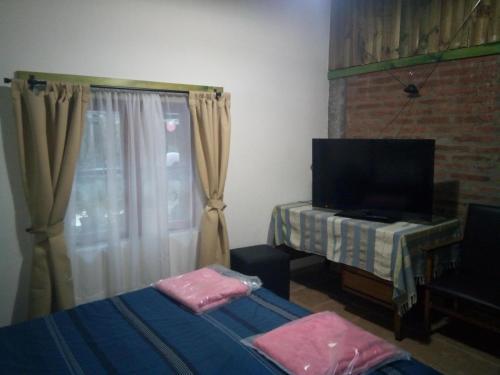 Casa Camelia