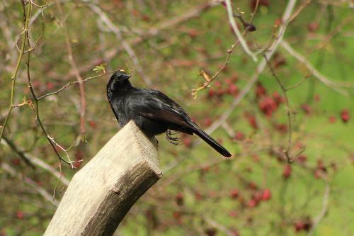 Casa Viento, Caj�n Del Maipo