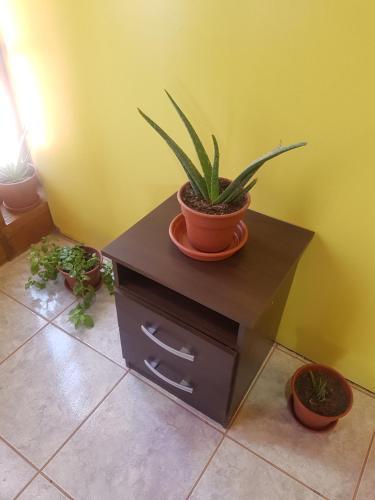 Apartamento Departamento Luna Andina