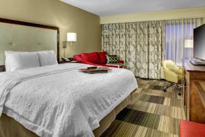 Hotel Hampton Inn Greenville/woodruff Road