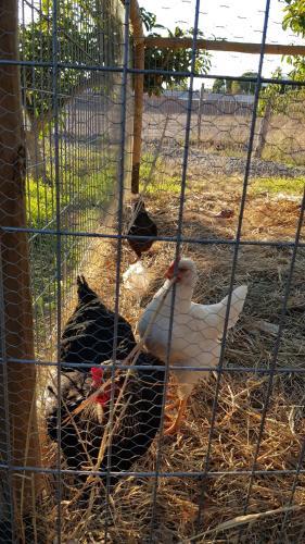 Lodge Caba�a Lunoma