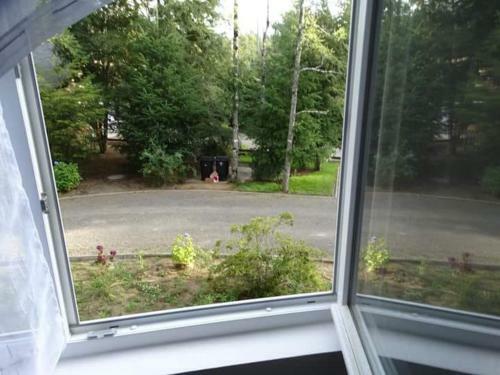 Apartamento Condominio Pucon Andino