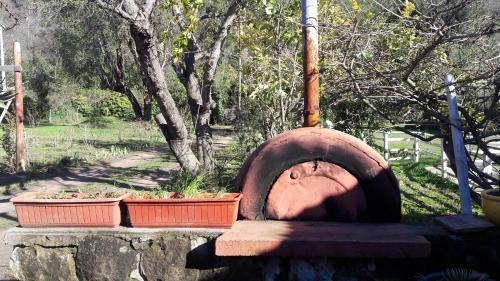 Hostal Fogon De Rio Claro