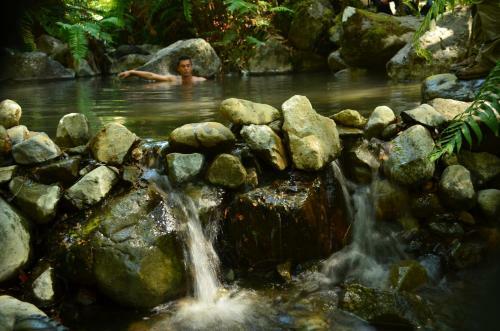 Lodge Caba�as Y Turismo Lahuan