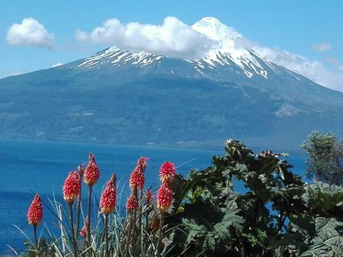 Lodge Caba�as Vientos Del Lago