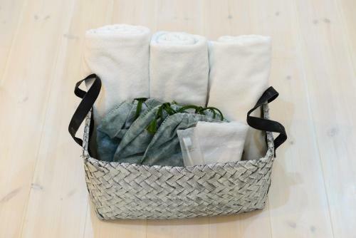 Guestvilla Hakoneyumoto101