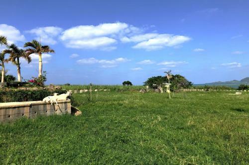 Apartamento Chura Minpaku Ishigaki