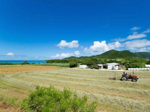 Hotel Sun Green Grass Ishigaki