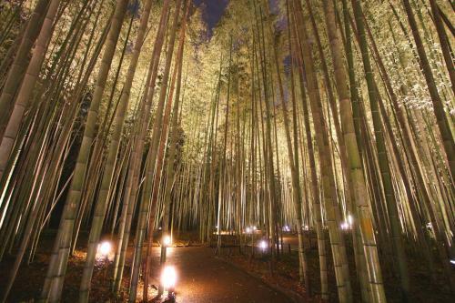 Guesthouse Sagaarashiyama