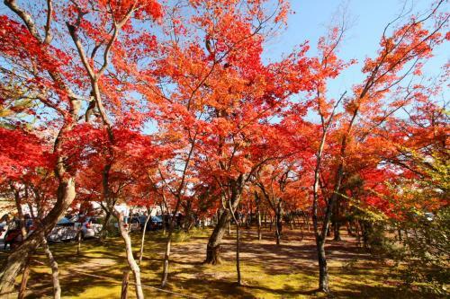 Guesthouse Sagaarashiyama